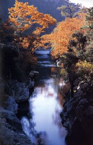 YAZILI KANYON TABİAT PARKI